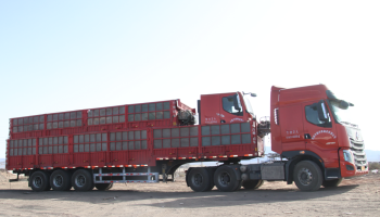 緊抓市場,協(xié)同共促 玉柴物流集團助力客戶物流運力再升級